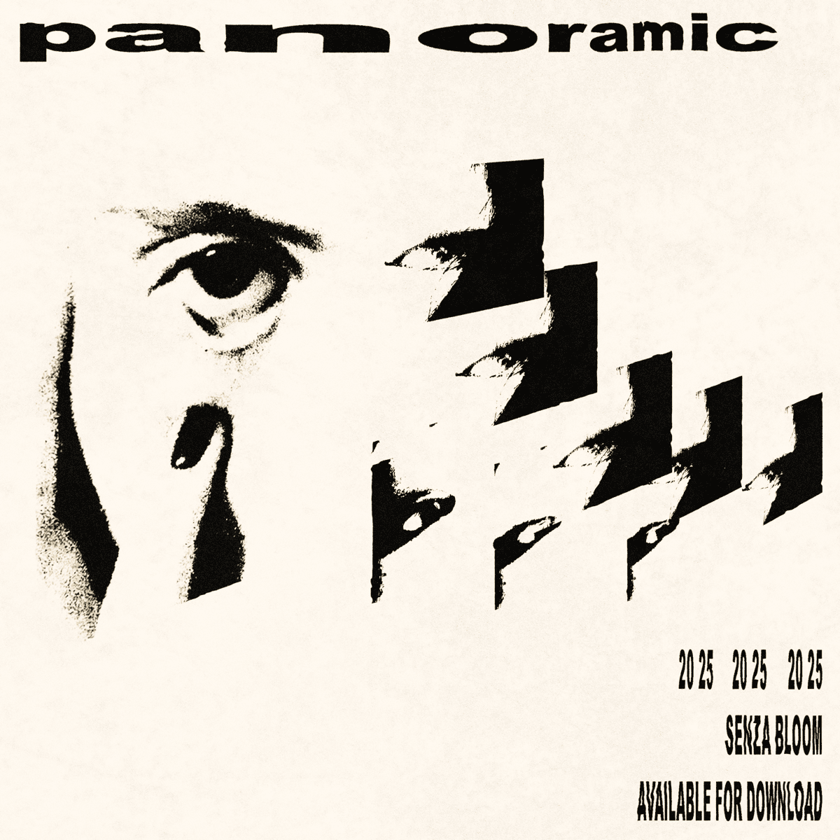 Panoramic Sample Pack